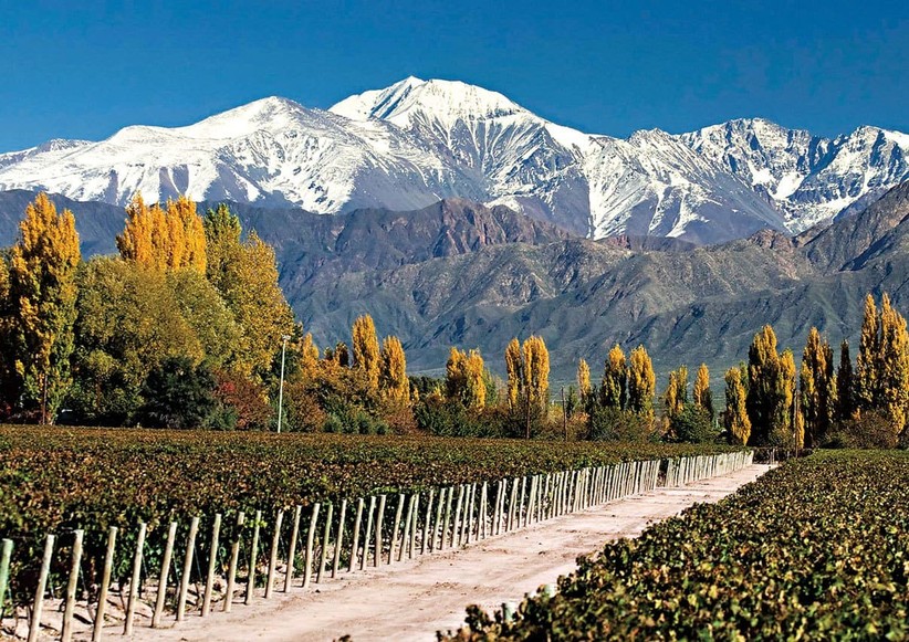 Mendoza VisitArgentina net